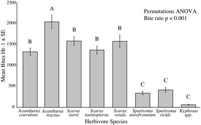 Few Herbivore Species Consume Dominant Macroalgae on a Caribbean Coral Reef